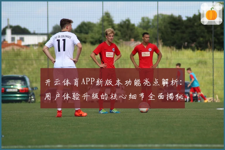 开云体育APP新版本功能亮点解析：用户体验升级的核心细节全面揭秘